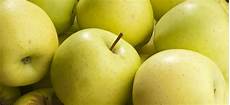 Apple Fruit Shape