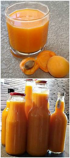 Apricot Fruit Pulp