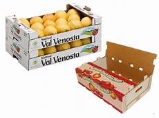 Cardboard Fruit Box
