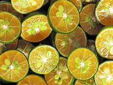 Citrus Fruits Production