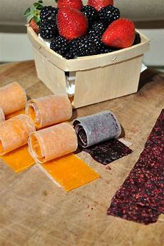 Dried Fruit Rollups