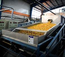 Dried Fruits Producer