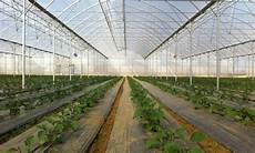 Ecomodern Greenhouse Systems