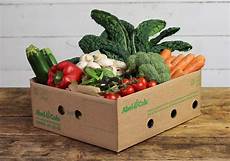 Fresh Vegetable Packaging