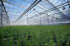 Greenhouse Heating Systems