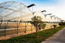 Greenhouse Infrastructure Systems