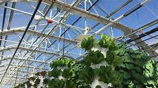 Greenhouse Infrastructure Systems