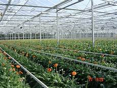 Greenhouse Irrigation Systems