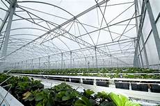 Greenhouse Plastics