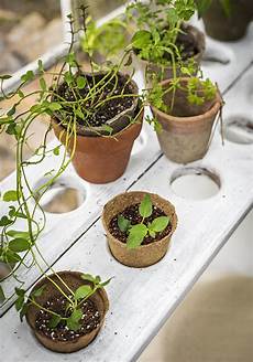 Greenhouse Seedling Stand