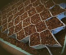 Greenhouse Seedling Stands
