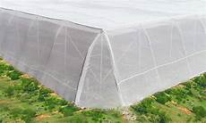 Greenhouse Yarn