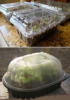 Plastic Greenhouse