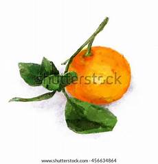 Tangerine Fruit Shapes