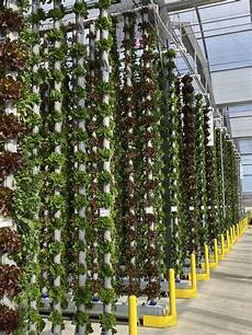 Turnkey Greenhouses