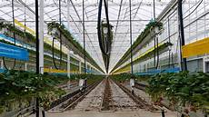 Turnkey Greenhouses
