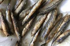 Vegetable Anchovys