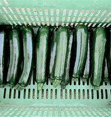 Organic Fruits Production
