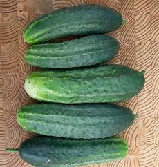 Organic Fruits Production