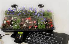 Plastic Modern Greenhouses