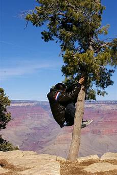 Pool Type Tipper Trailer