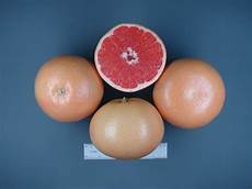 Starruby Grapefruit