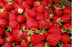 Strawberry Fruit Shapes