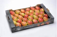 Wholesale Fresh Fruits